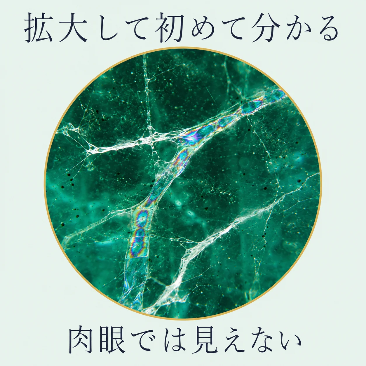 顕微鏡の円形の視野の中で、エメラルド内部の亀裂とオイルの境界、光の干渉による模様が確認できる様子を示した図。